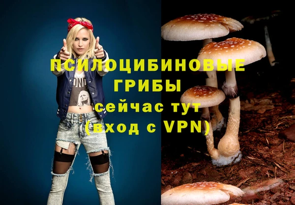 дмт Новодвинск