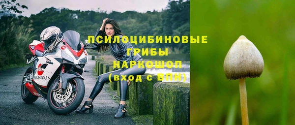 а пвп мука Армянск