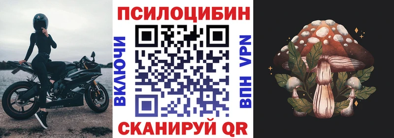 закладка Асбест Псилоцибиновые грибы Cubensis